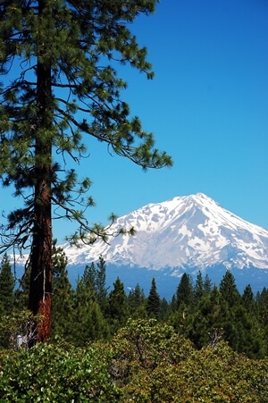 7 Secrets of Mount Shasta - OMTimes Magazine