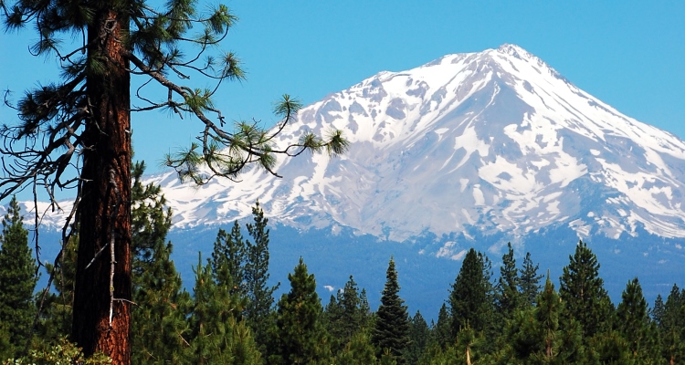 Mount-Shasta_OMTimes