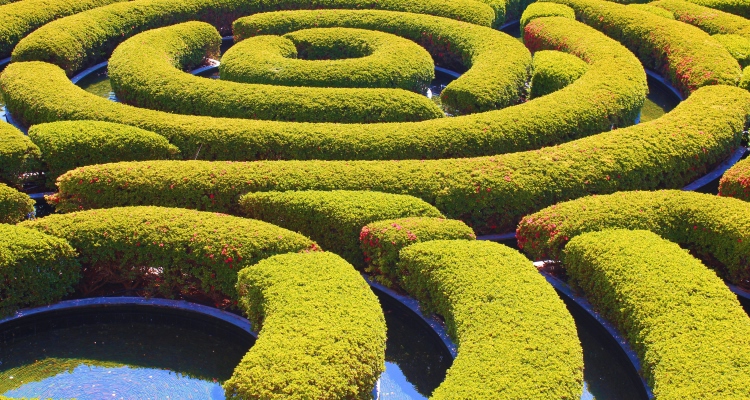 water_feng-shui_OMTimes