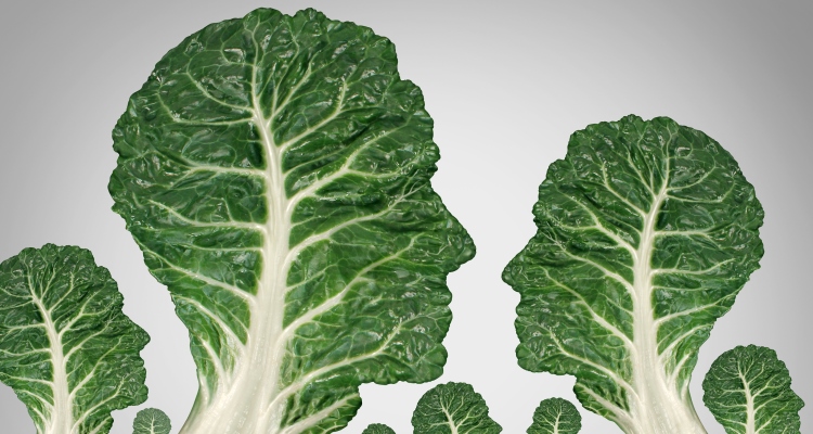 great-health_OMTimes