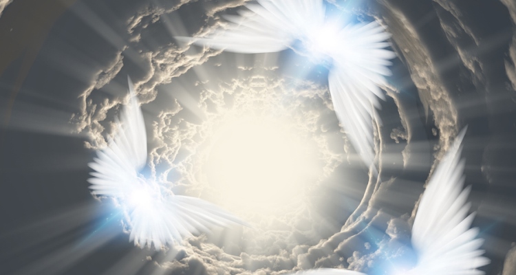 Anna-Taylor_angels_OMTimes