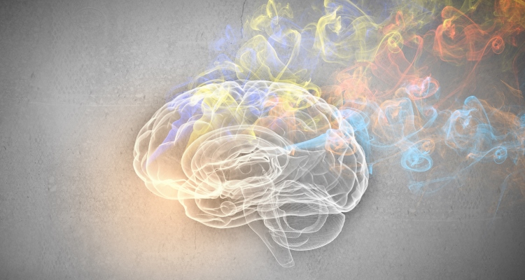 consciousness_OMTimes