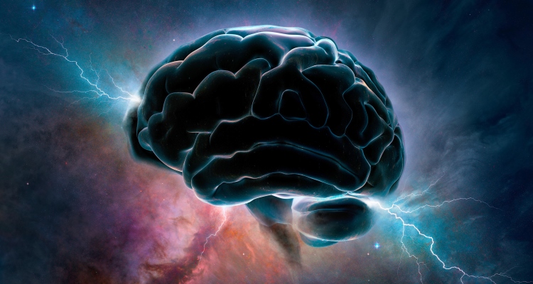 multifunctional-consciousness_OMTimes