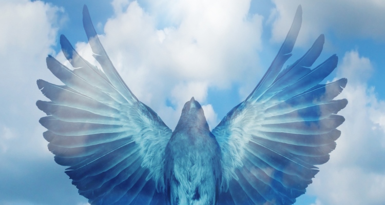 Divine-attention_OMTimes