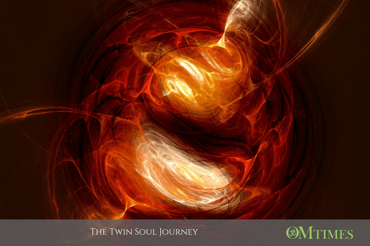 twin soul OMTimes