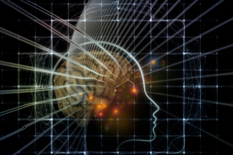 mind-parasites_OMTimes