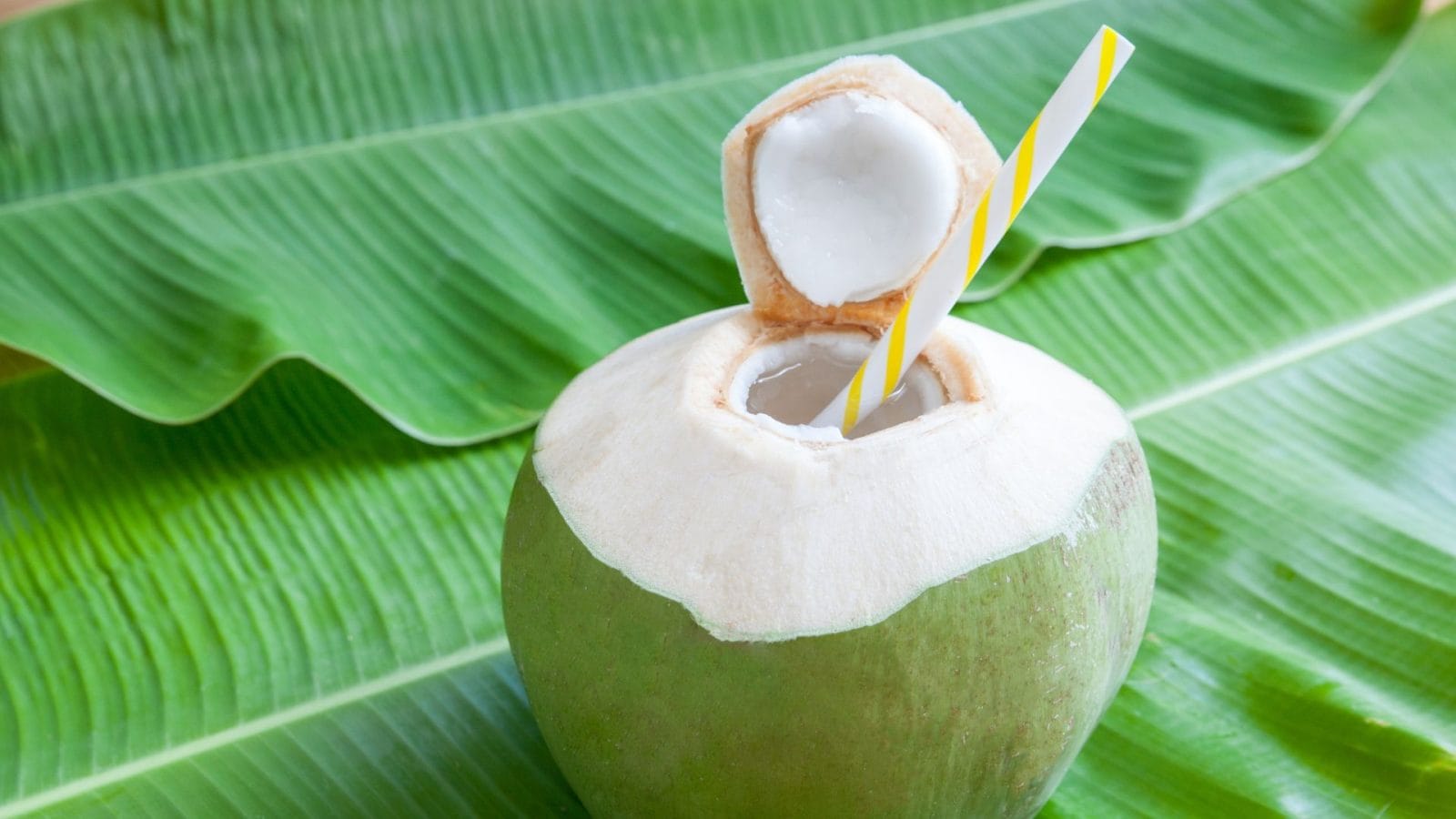 Coconut Water