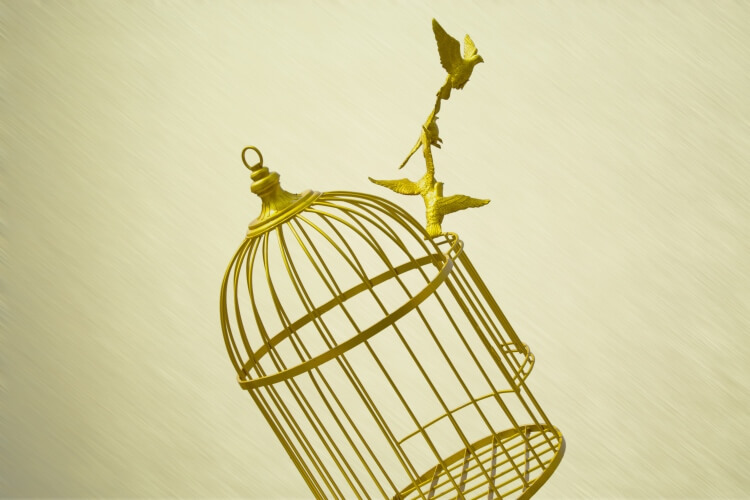 How-to-Heal-Yourself_Amy-B-Scher_OMTimes