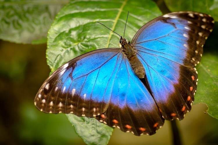 You-Were-Not-Born-To-Suffer_OMTimes