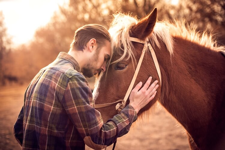 animal-communication_telepathic_OMTimes