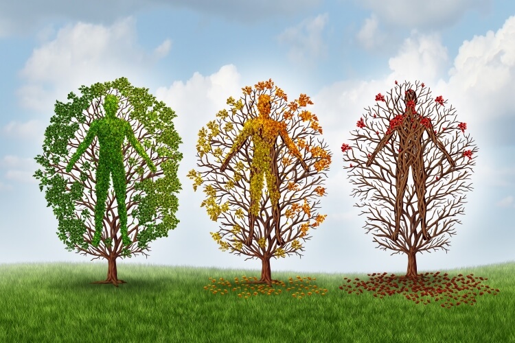 full-life_filled-with-purpose_OMTimes