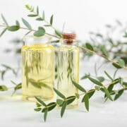Eucalyptus Essential Oil