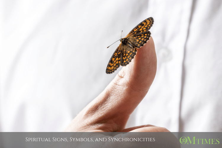 Spiritual Signs Synchronicities OMTimes