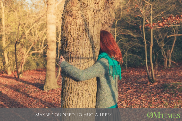 hug tree OMTimes