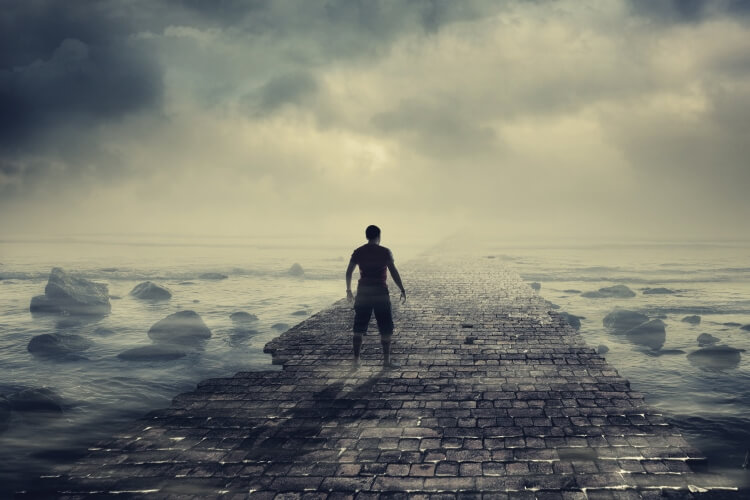 messiah wisdom OMTimes