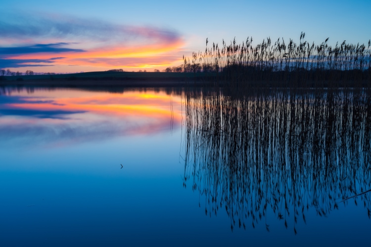 natural-images_reduce-pain_OMTimes