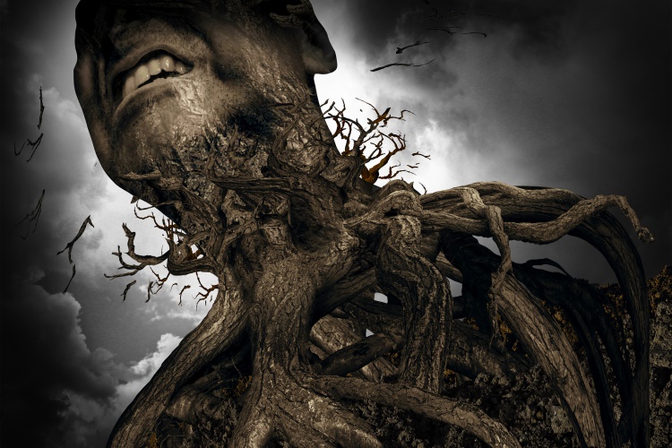 addiction_perception_OMTimes