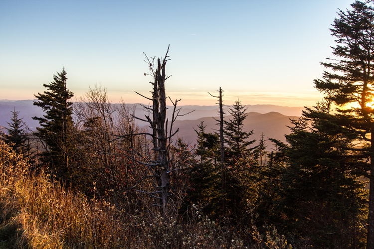 global-warming_boreal_OMTimes