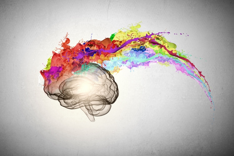 Whole-Brain-Thinking_OMTimes