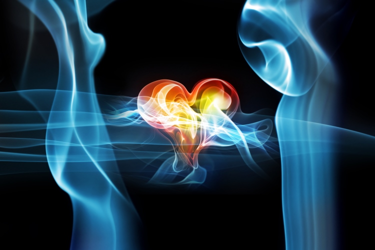 feminine-struggle_OMTimes