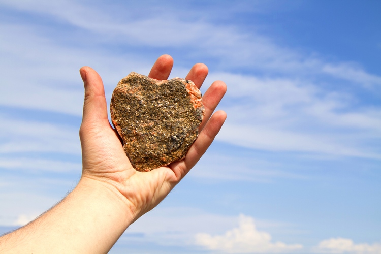 forgive and forget OMTimes