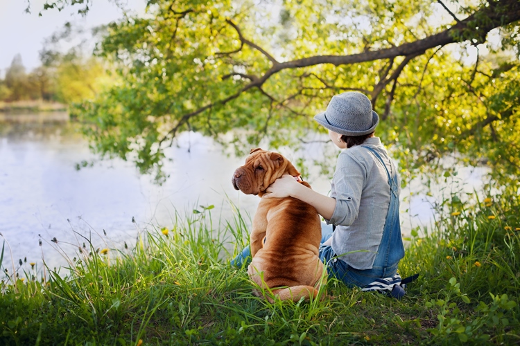 Illumination: A Crystal Meditation With Animals - Omtimes Magazine