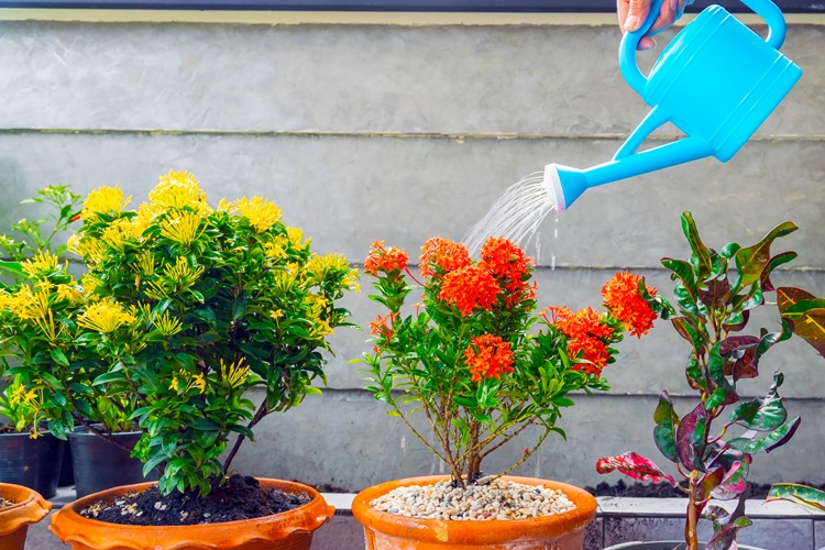 liking and loving OMTimes