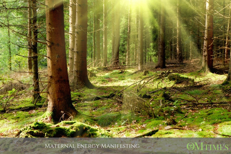 Maternal Energy OMTimes