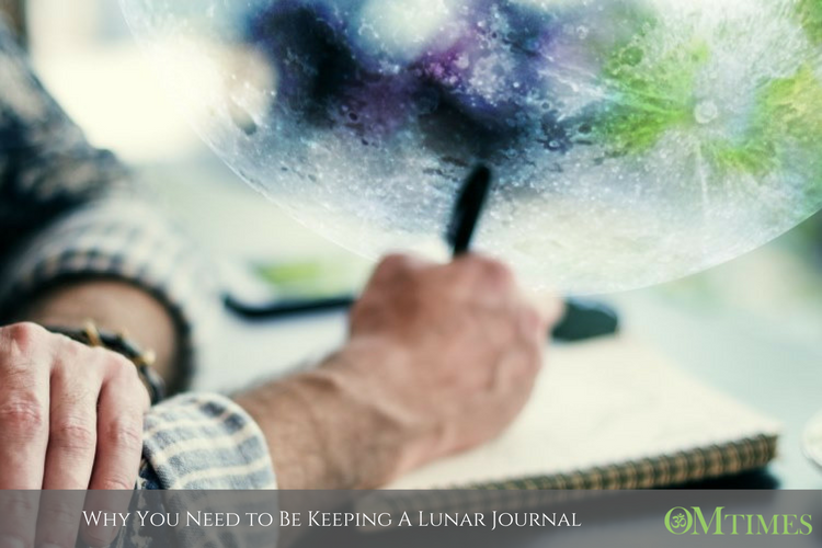 lunar journal OMTimes