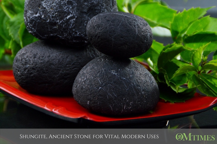 Shungite OMTimes