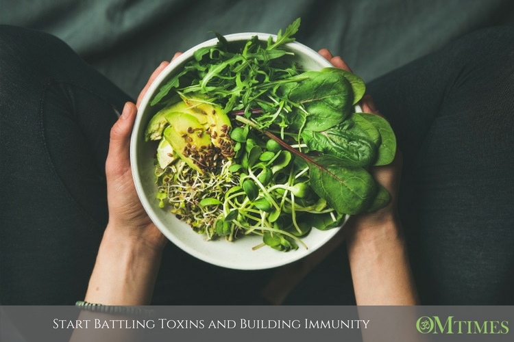 Battling Toxins Building Immunity OMTimes