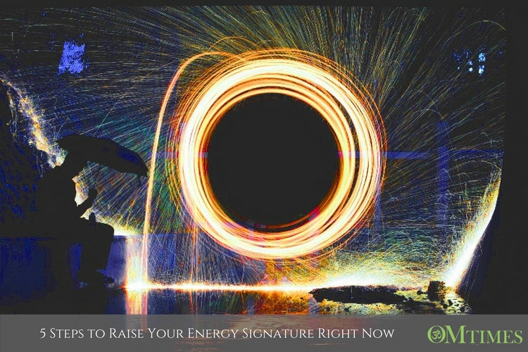 energy signature OMTimes