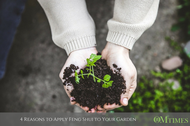 garden Feng Shui OMTimes
