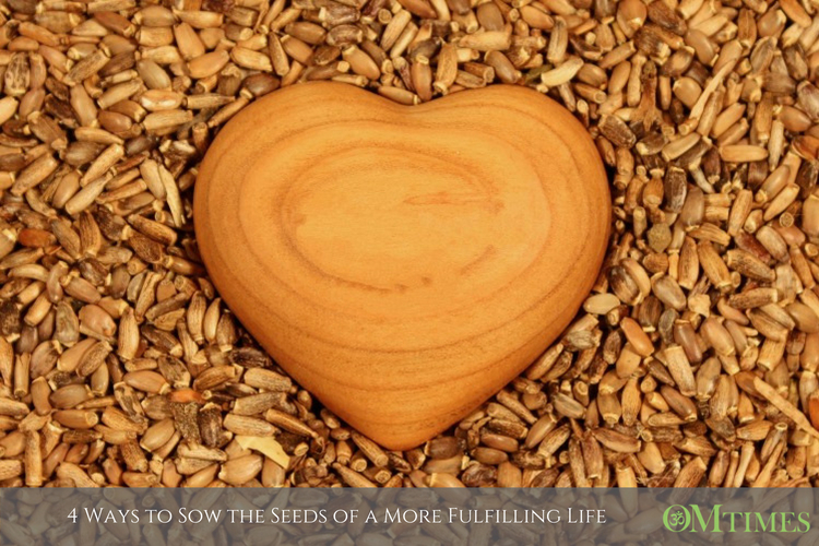 sow the seeds OMTimes