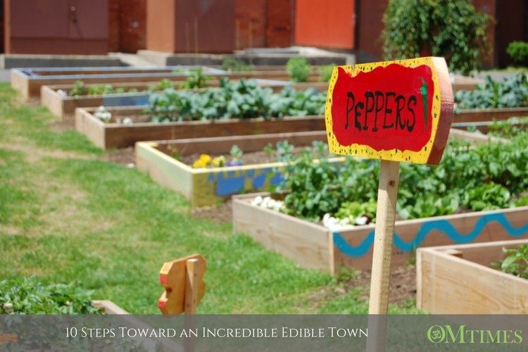 Incredible Edible OMTimes