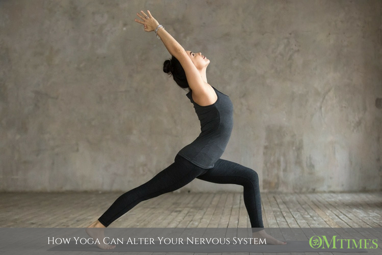 Nervous System OMTimes