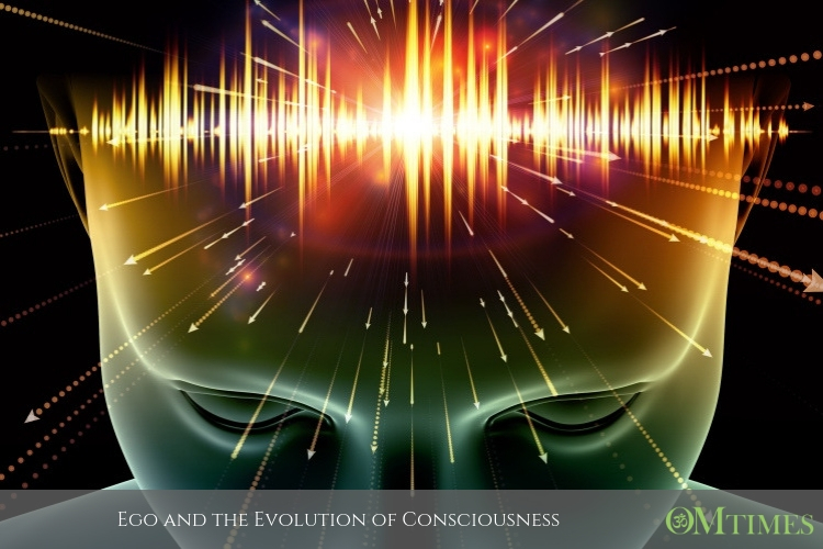 Consciousness OMTimes