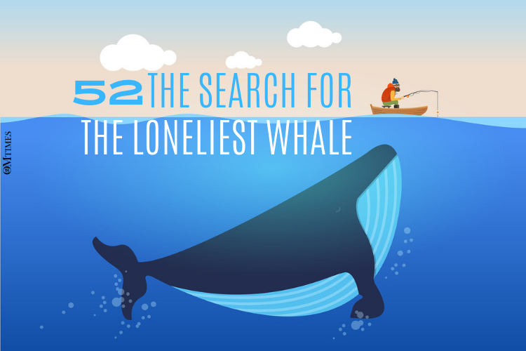 The Search For The Loneliest Whale - OMTimes Magazine