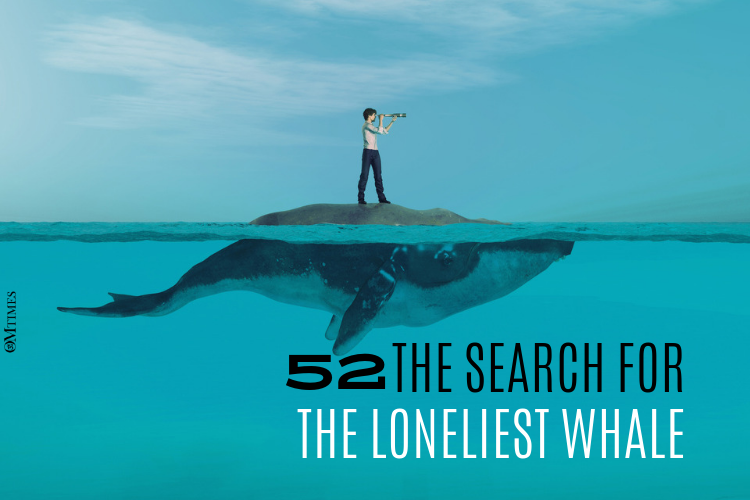 The Search For The Loneliest Whale - OMTimes Magazine