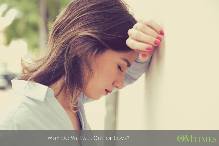 Fall Out of Love OMTimes