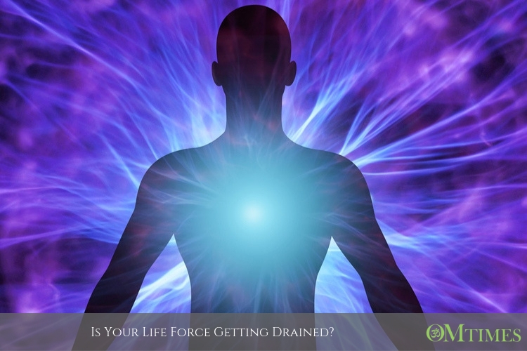 life force OMTimes