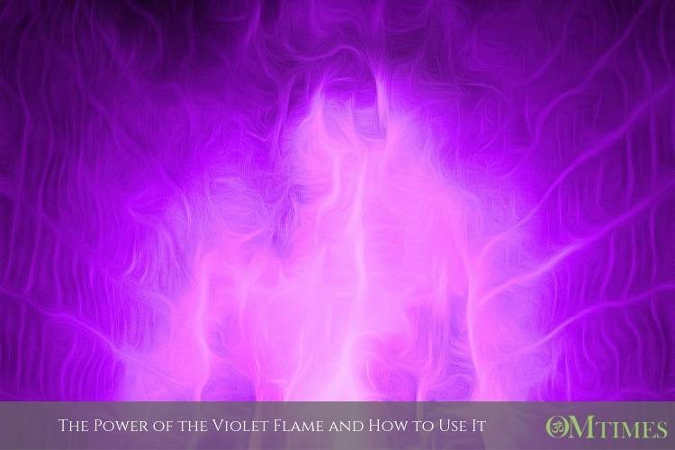 Violet Flame OMTimes