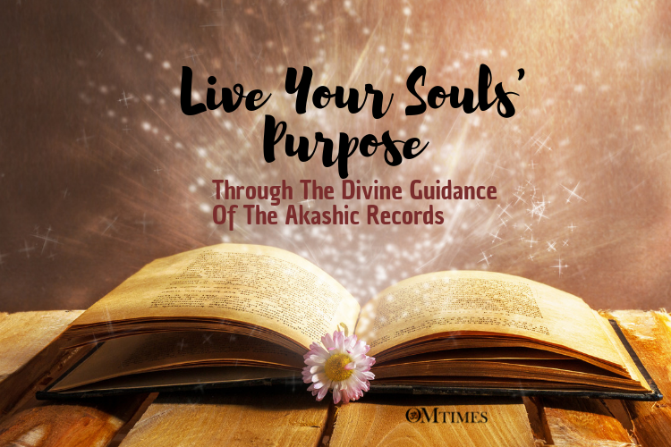 Soul Purpose