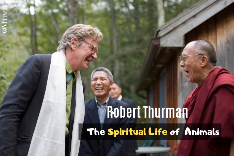 Robert Thurman