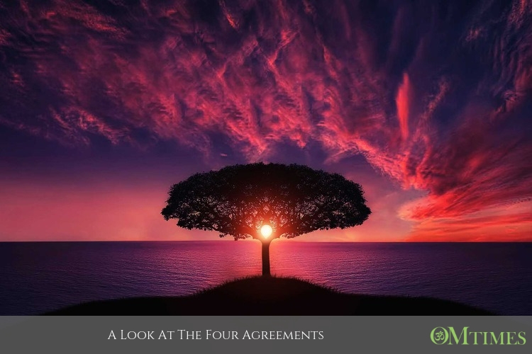 Four Agreements OMTimes