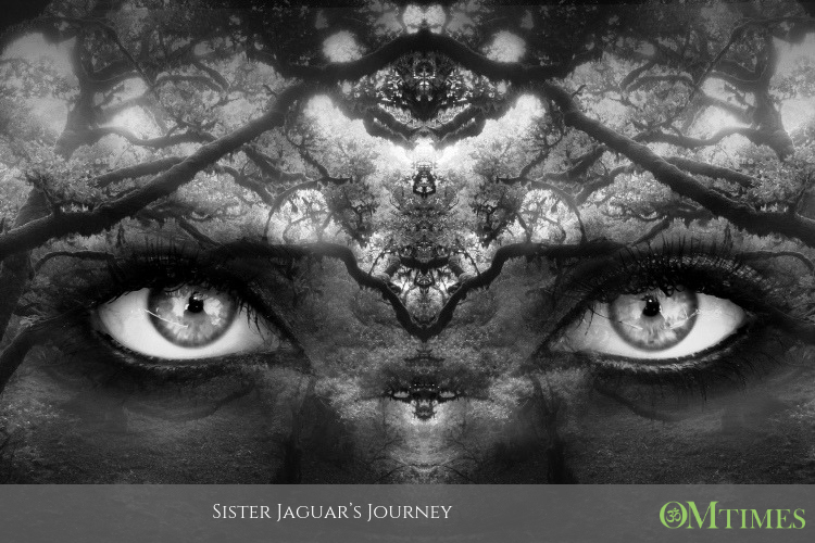 Sister Jaguar’s Journey OMTimes