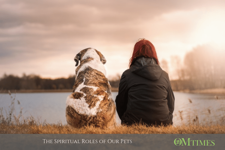 The Spiritual Roles of Our Pets Pets_OMTimes_friends-3042751_header.png