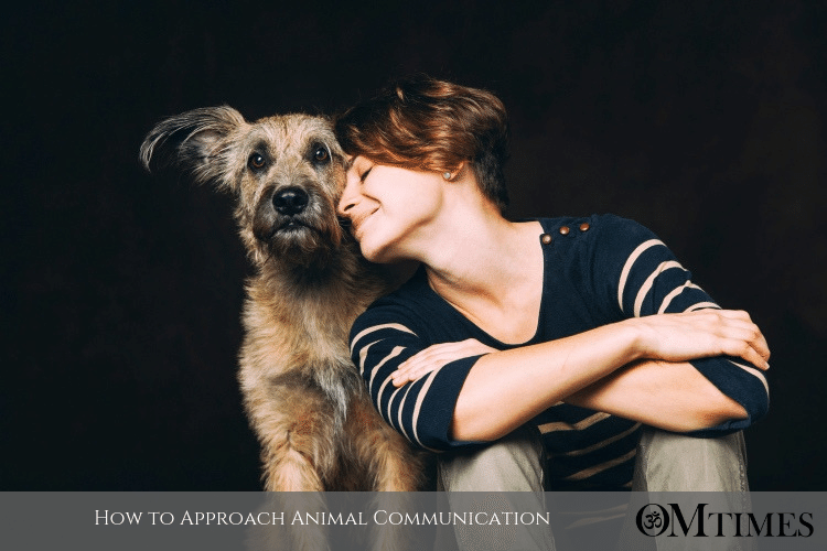 animal communication OMTimes