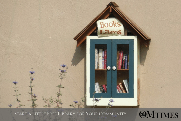 Little Free Library OMTimes