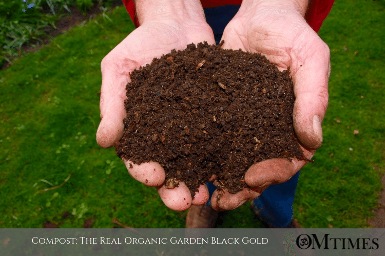 compost black gold OMTimes